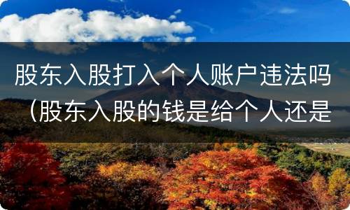 股东入股打入个人账户违法吗（股东入股的钱是给个人还是给公司）