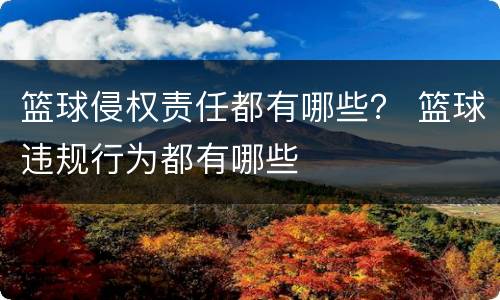 篮球侵权责任都有哪些？ 篮球违规行为都有哪些