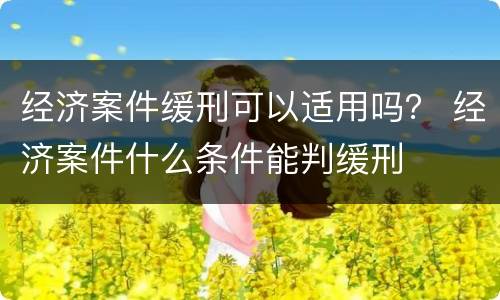 经济案件缓刑可以适用吗？ 经济案件什么条件能判缓刑
