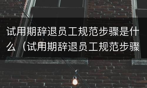 试用期辞退员工规范步骤是什么（试用期辞退员工规范步骤是什么意思）