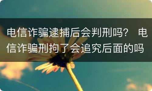 电信诈骗逮捕后会判刑吗？ 电信诈骗刑拘了会追究后面的吗