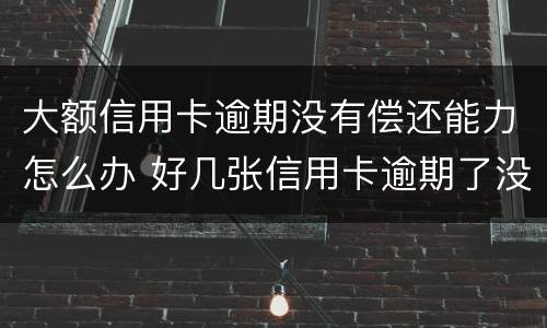 大额信用卡逾期没有偿还能力怎么办 好几张信用卡逾期了没能力还款怎么办