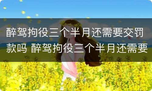 醉驾拘役三个半月还需要交罚款吗 醉驾拘役三个半月还需要交罚款吗多少钱
