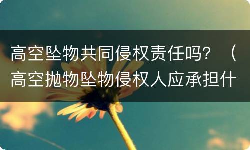 高空坠物共同侵权责任吗？（高空抛物坠物侵权人应承担什么责任）
