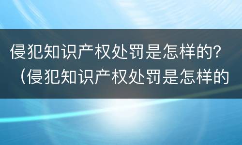 侵犯知识产权处罚是怎样的？（侵犯知识产权处罚是怎样的案例）