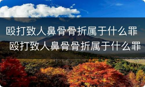 殴打致人鼻骨骨折属于什么罪 殴打致人鼻骨骨折属于什么罪