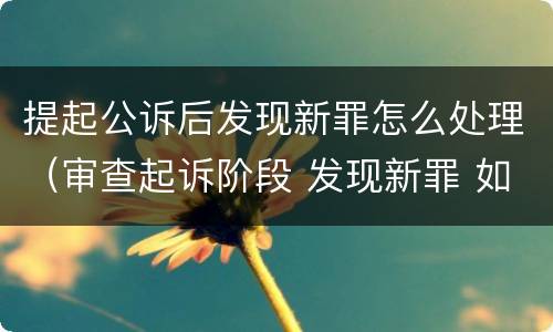 提起公诉后发现新罪怎么处理（审查起诉阶段 发现新罪 如何处理）
