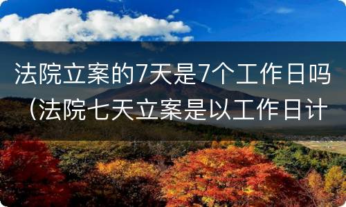 法院立案的7天是7个工作日吗（法院七天立案是以工作日计算吗?）