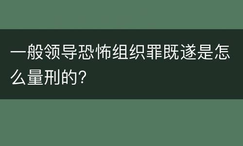 一般领导恐怖组织罪既遂是怎么量刑的?