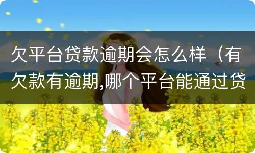 欠平台贷款逾期会怎么样（有欠款有逾期,哪个平台能通过贷款）