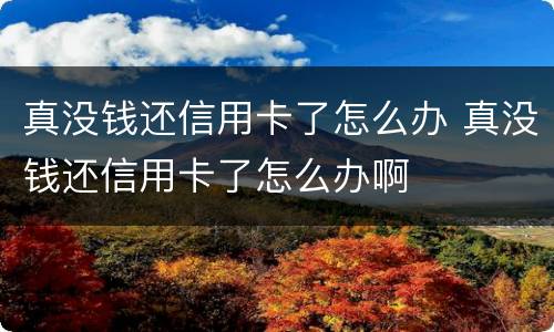 真没钱还信用卡了怎么办 真没钱还信用卡了怎么办啊