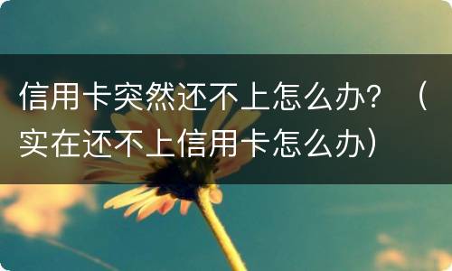 信用卡突然还不上怎么办？（实在还不上信用卡怎么办）