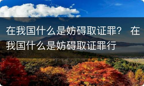 在我国什么是妨碍取证罪？ 在我国什么是妨碍取证罪行