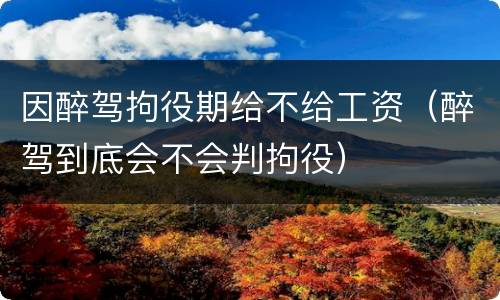 因醉驾拘役期给不给工资（醉驾到底会不会判拘役）