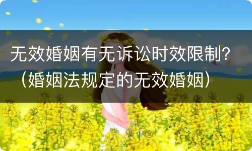 无效婚姻有无诉讼时效限制？（婚姻法规定的无效婚姻）