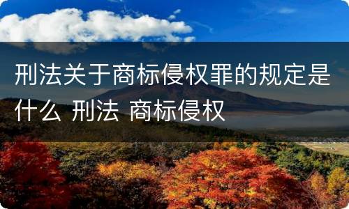 刑法关于商标侵权罪的规定是什么 刑法 商标侵权