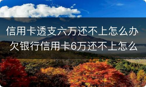 信用卡透支六万还不上怎么办 欠银行信用卡6万还不上怎么办