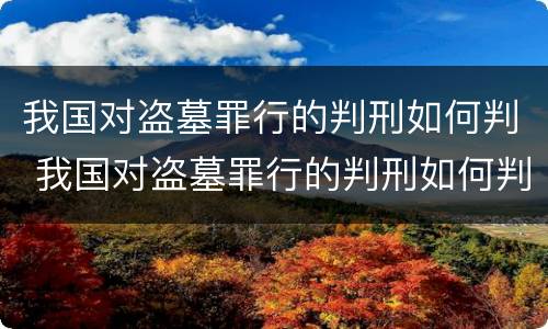 我国对盗墓罪行的判刑如何判 我国对盗墓罪行的判刑如何判决