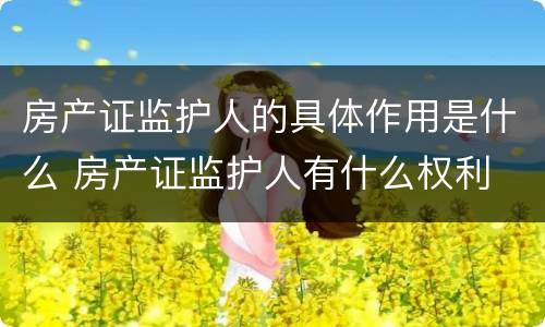 房产证监护人的具体作用是什么 房产证监护人有什么权利
