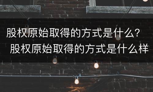 股权原始取得的方式是什么？ 股权原始取得的方式是什么样的