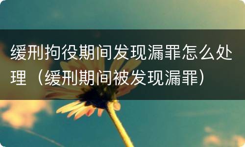 缓刑拘役期间发现漏罪怎么处理（缓刑期间被发现漏罪）