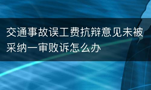 交通事故误工费抗辩意见未被采纳一审败诉怎么办
