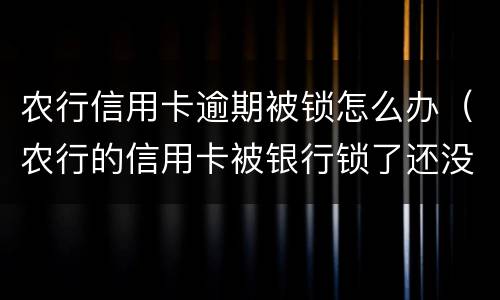 农行信用卡逾期被锁怎么办（农行的信用卡被银行锁了还没能用吗）
