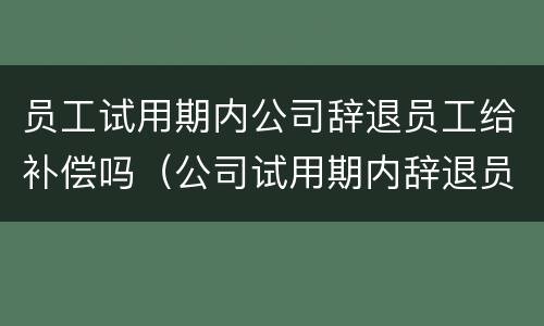 员工试用期内公司辞退员工给补偿吗（公司试用期内辞退员工有补偿吗）
