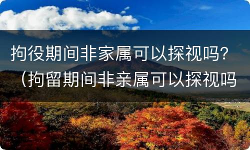 拘役期间非家属可以探视吗？（拘留期间非亲属可以探视吗）