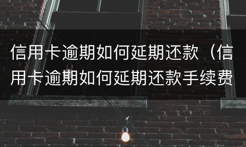 信用卡逾期如何延期还款（信用卡逾期如何延期还款手续费）