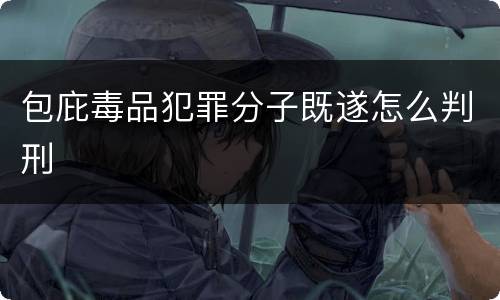 包庇毒品犯罪分子既遂怎么判刑