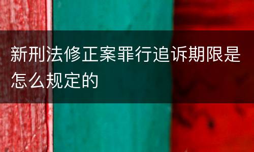 新刑法修正案罪行追诉期限是怎么规定的