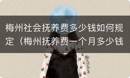梅州社会抚养费多少钱如何规定（梅州抚养费一个月多少钱）
