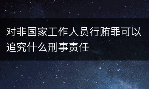 对非国家工作人员行贿罪可以追究什么刑事责任