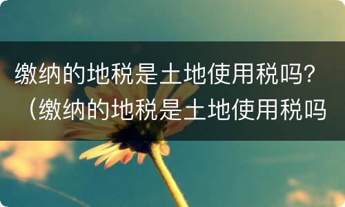 缴纳的地税是土地使用税吗？（缴纳的地税是土地使用税吗）