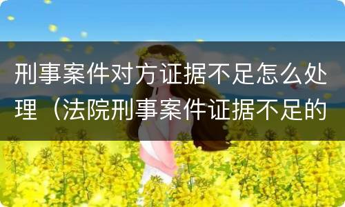 刑事案件对方证据不足怎么处理（法院刑事案件证据不足的案子怎么处理）