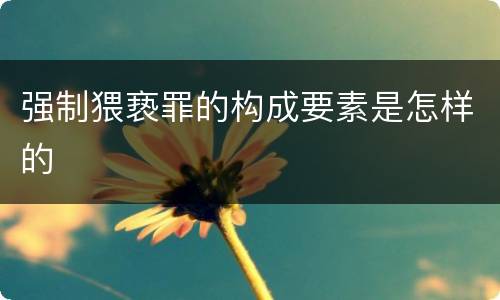 强制猥亵罪的构成要素是怎样的