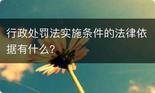 行政处罚法实施条件的法律依据有什么？