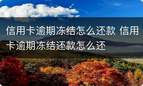 信用卡逾期冻结怎么还款 信用卡逾期冻结还款怎么还