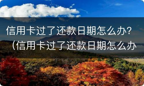 信用卡过了还款日期怎么办？（信用卡过了还款日期怎么办理）