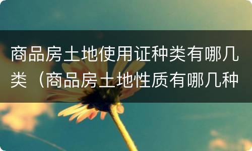 商品房土地使用证种类有哪几类（商品房土地性质有哪几种）