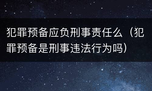 犯罪预备应负刑事责任么（犯罪预备是刑事违法行为吗）