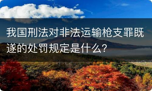 我国刑法对非法运输枪支罪既遂的处罚规定是什么？