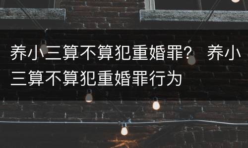 养小三算不算犯重婚罪？ 养小三算不算犯重婚罪行为