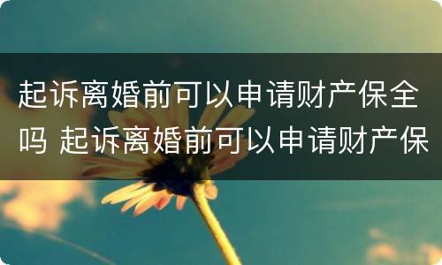 起诉离婚前可以申请财产保全吗 起诉离婚前可以申请财产保全吗要多久