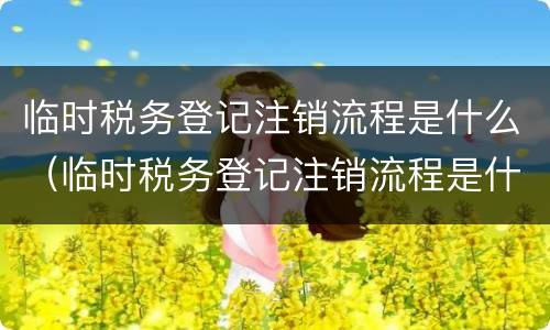 临时税务登记注销流程是什么（临时税务登记注销流程是什么意思）