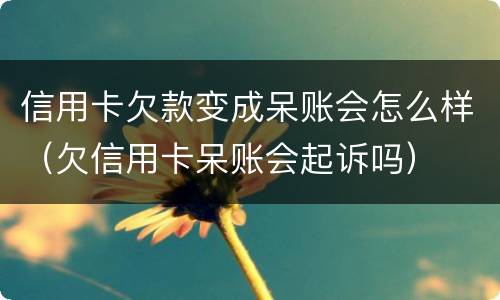 信用卡欠款变成呆账会怎么样（欠信用卡呆账会起诉吗）