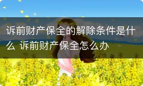 诉前财产保全的解除条件是什么 诉前财产保全怎么办