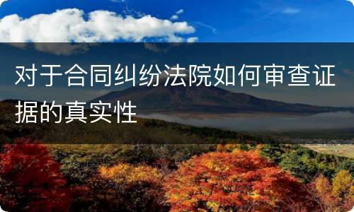 对于合同纠纷法院如何审查证据的真实性