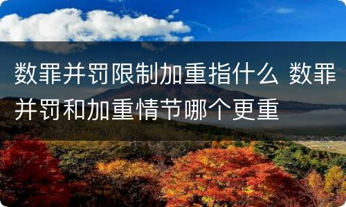 数罪并罚限制加重指什么 数罪并罚和加重情节哪个更重